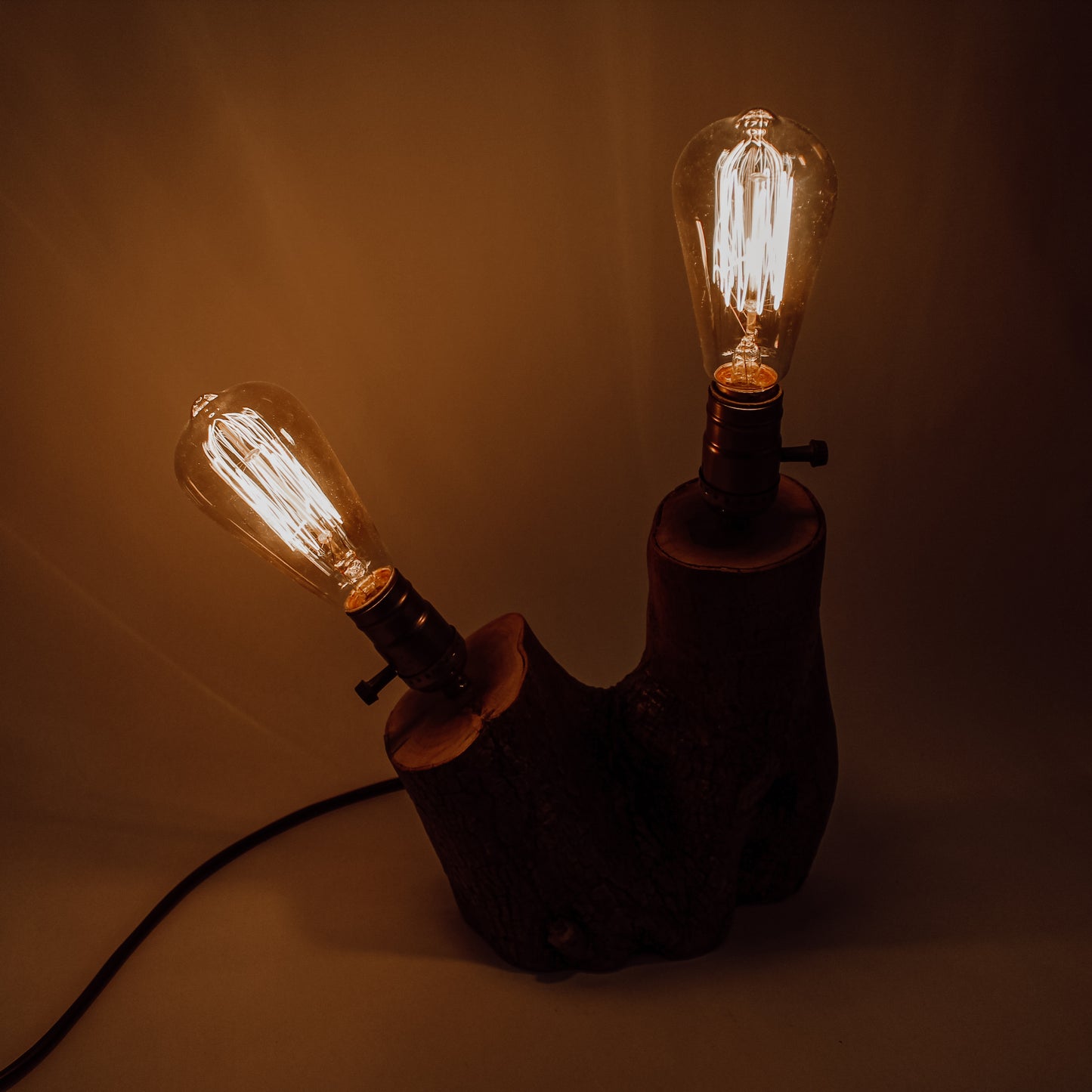 Olive Tree Double Branch Table Light