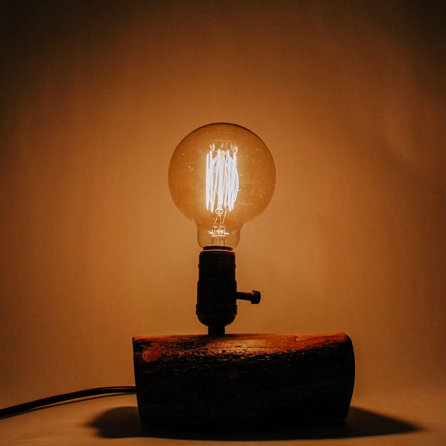 Olive Tree Branch Table Light