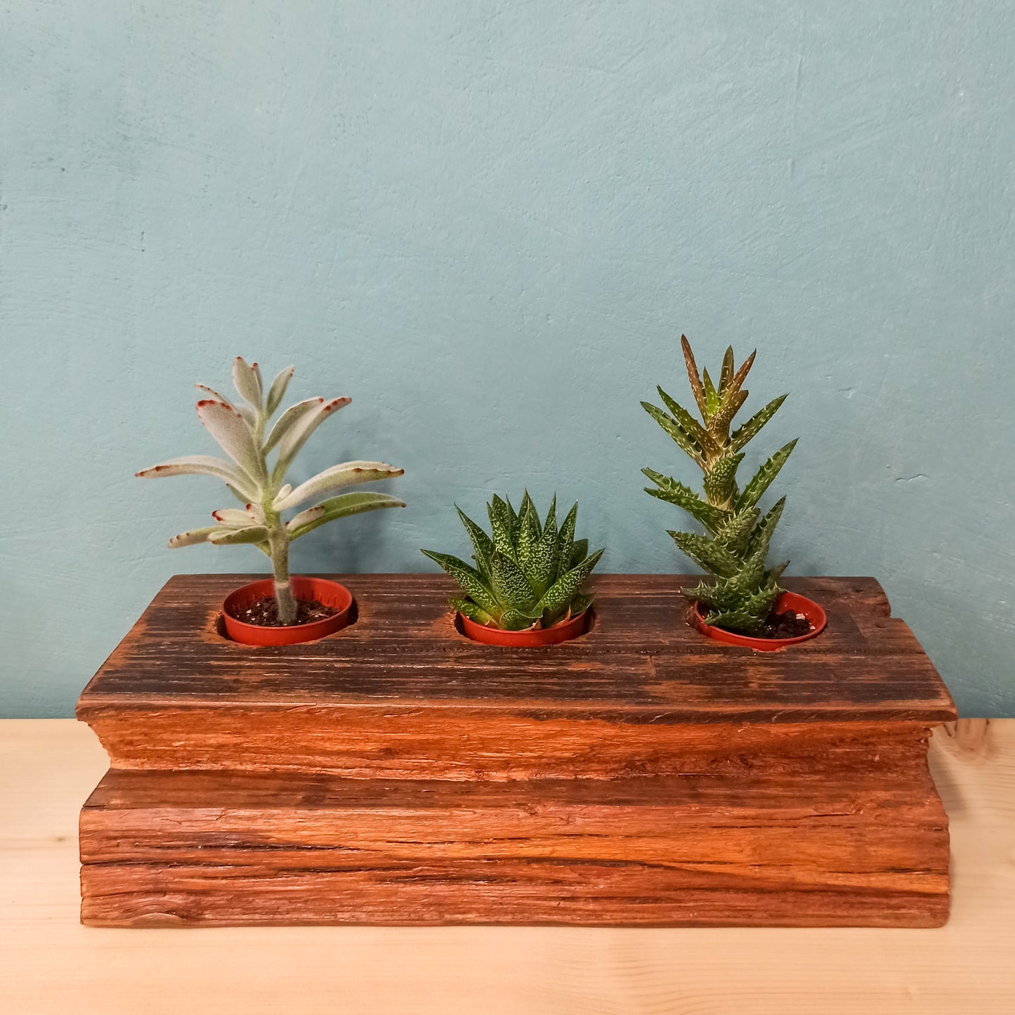 Recycled Wood Plant Holder for 3