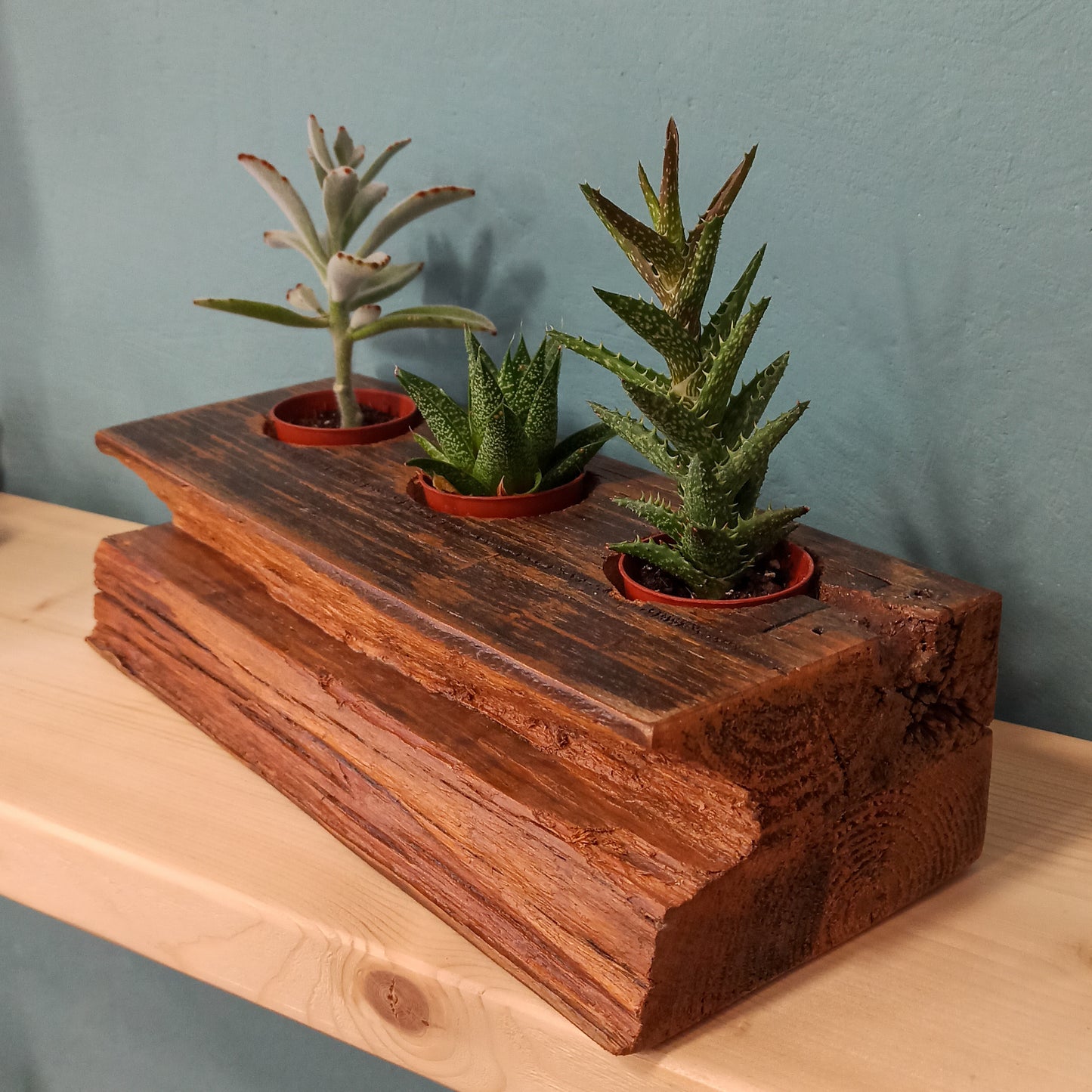 Recycled Wood Plant Holder for 3